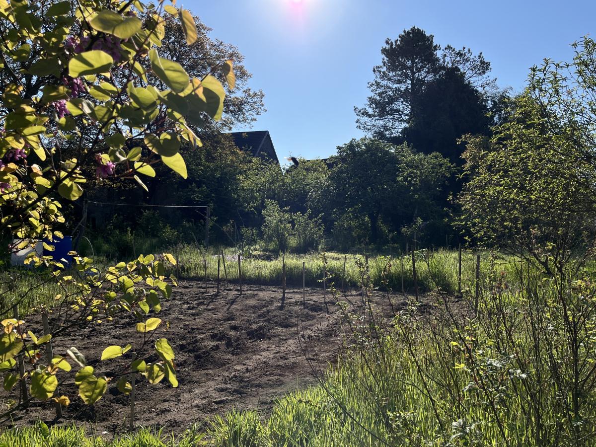 maison - 107 m² - Perrigny-sur-l'Ognon