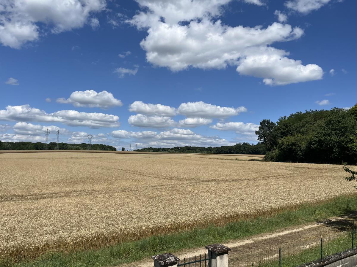 maison - 114 m² - Damparis