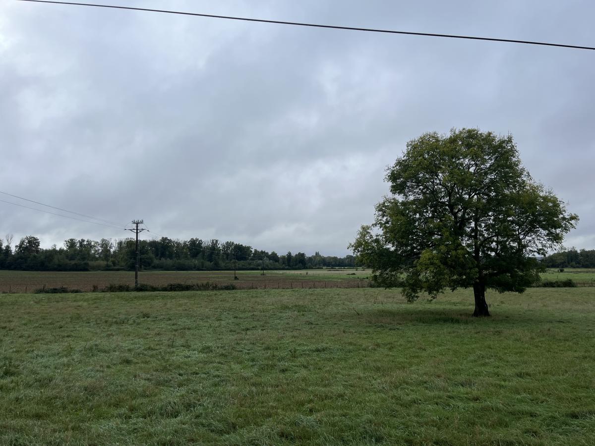 terrain - 2111 m² - Villette-lès-Dole